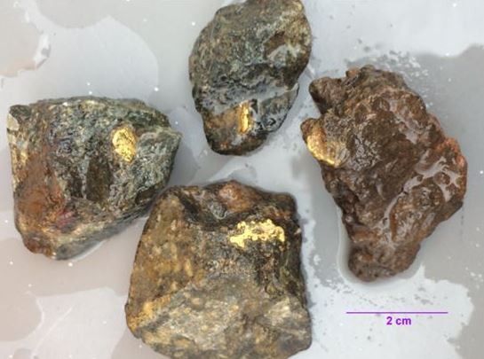 Natural gold nuggets